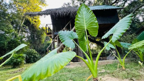 Sigiri Veenus Paradise
